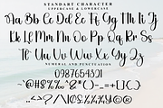 Disney, a Handwritten Font by FreshTypeINK (Thumbnail 7 of 8)
