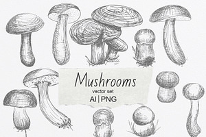 Set of Edble Hand Drawn Mushrooms, an Object Graphic by NataliArkushArt