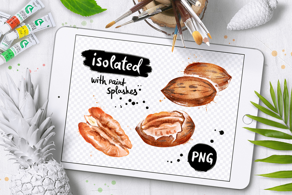 Nuts Watercolor Collection, an Object Graphic by Sonya Illustrations (Photo 2 of 4)