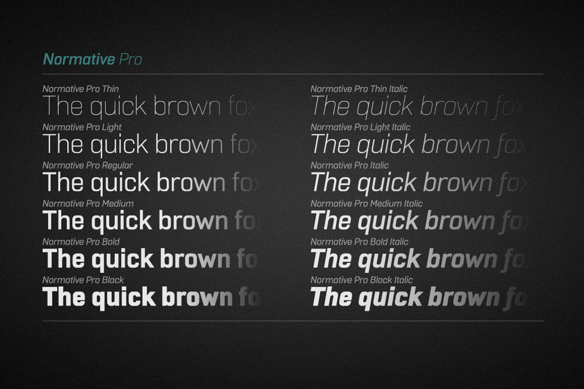Normative Pro - 12 fonts preview 2