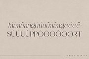 Rabble - display typeface, a Serif Font by Only Fonts (Thumbnail 9 of 10)