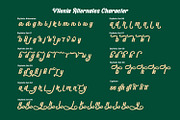 Vilenia, a Script Font by Nathatype (Thumbnail 10 of 11)