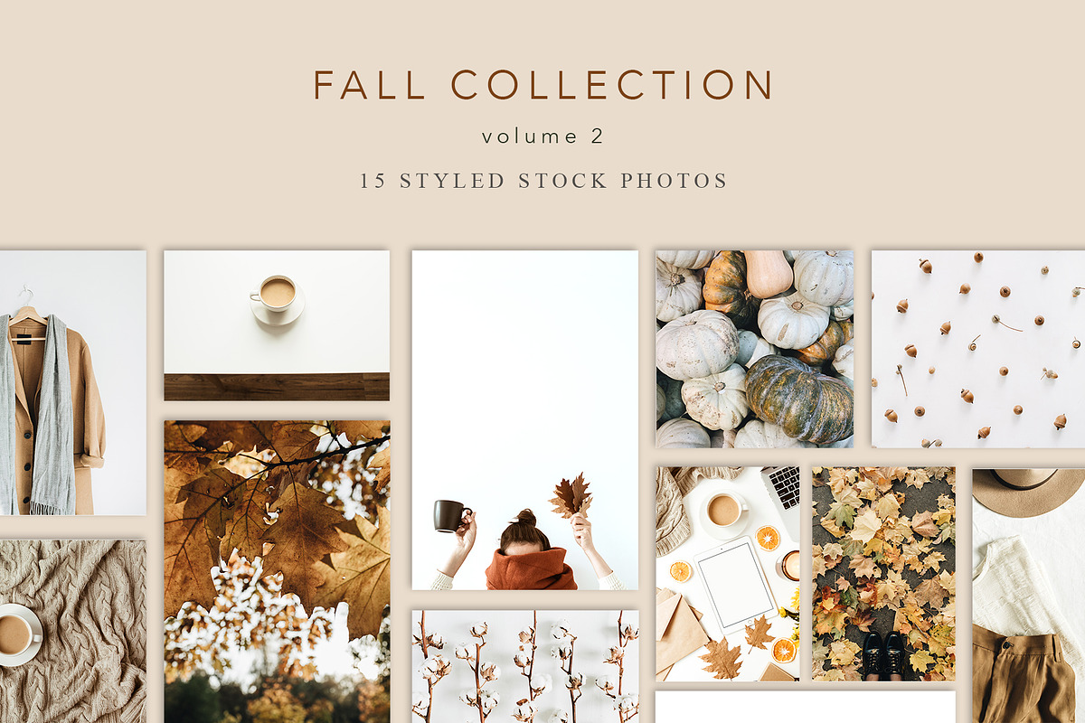 Fall Collection 2, a Beauty & Fashion Photo by Floral Deco (Photo 1 of 7)