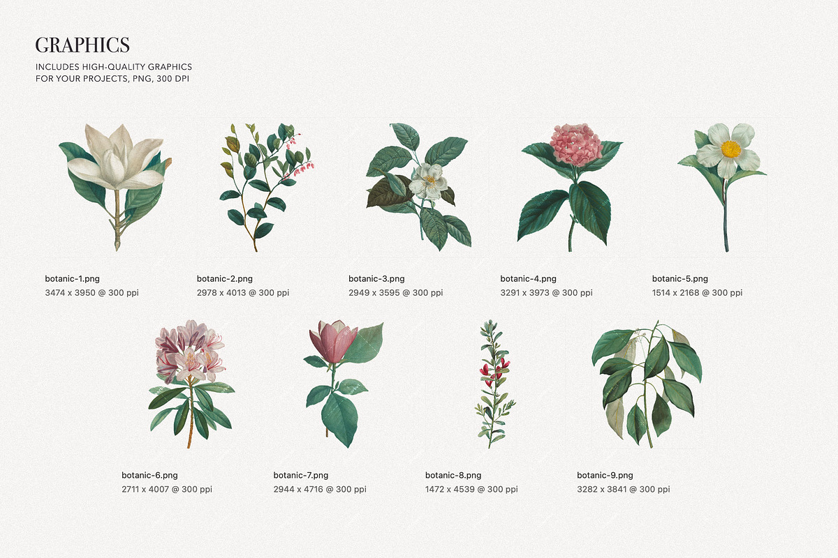 Botanical Elegant English Pattern, an Illustration by likorbut (Photo 6 of 9)