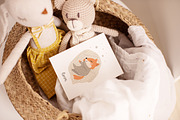 Baby Rabbit Illustrations Set, an Animal Illustration by OxanaTally (Thumbnail 13 of 13)
