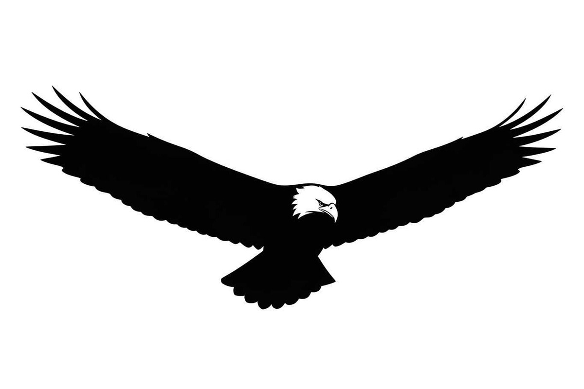 50 Flying Eagle Silhouette Vector Bu, an Illustration by Designs_River (Photo 30 of 51)