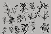 Minimalistic botanica, an Object Graphic by Mii Lab (Thumbnail 13 of 14)