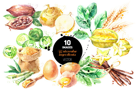 Watercolor Ingredients Vector Set