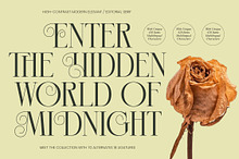 Hidden Midnight Modern Elegant Serif