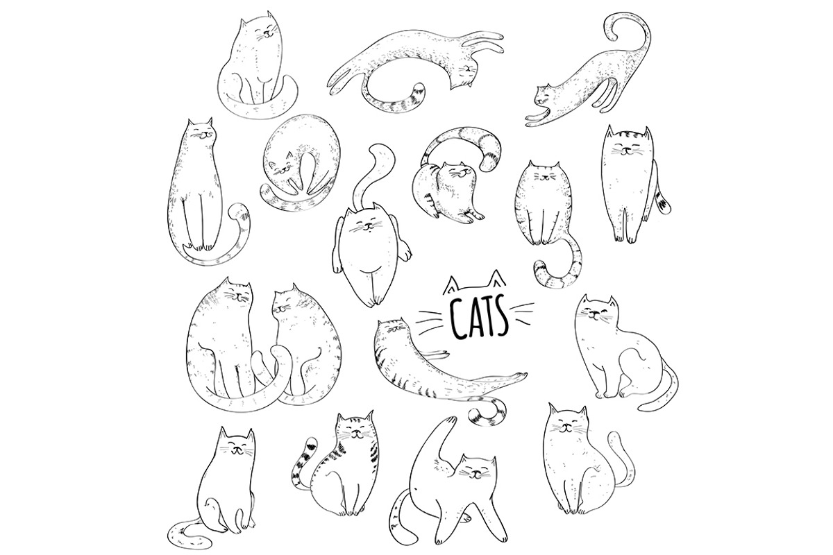 Big cats collection, an Animal Illustration by Alena Kaz (Photo 2 of 5)