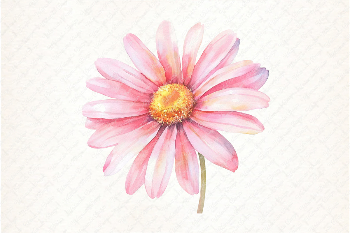 Lavender & Pink Flowers Watercolor, an Illustration by Watercolor design (Photo 11 of 13)
