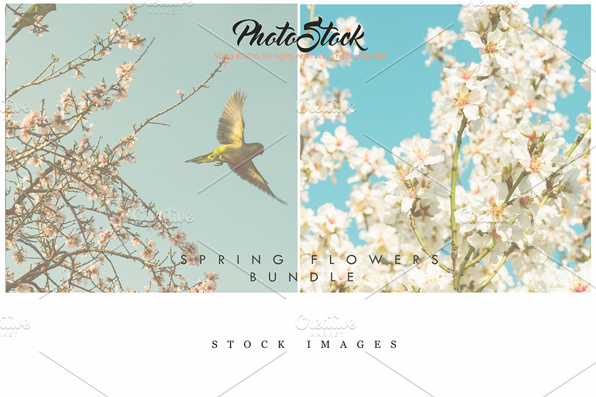 Stock Image Bundle, spring flowers, a Mockup by JAY MID IMAGE (Photo 2 of 6)