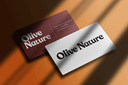 Batavia – Modern Vintage Font, a Serif Font by overlaytemplates (Thumbnail 2 of 5)