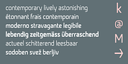 Curiance, a Sans Serif Font by Bettina Lüber (Thumbnail 2 of 9)