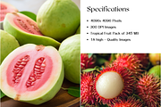 Tropical Fruits Stock Images, Mango, a Food & Drink Photo by BrushstrokeArtGB (Thumbnail 5 of 5)