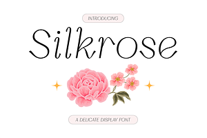 Silkrose - Delicate Display Font