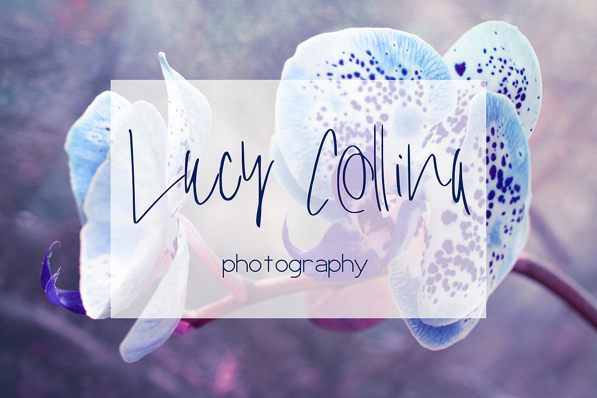 Wilson Font, a Script Font by SophieSaxo (Photo 3 of 9)