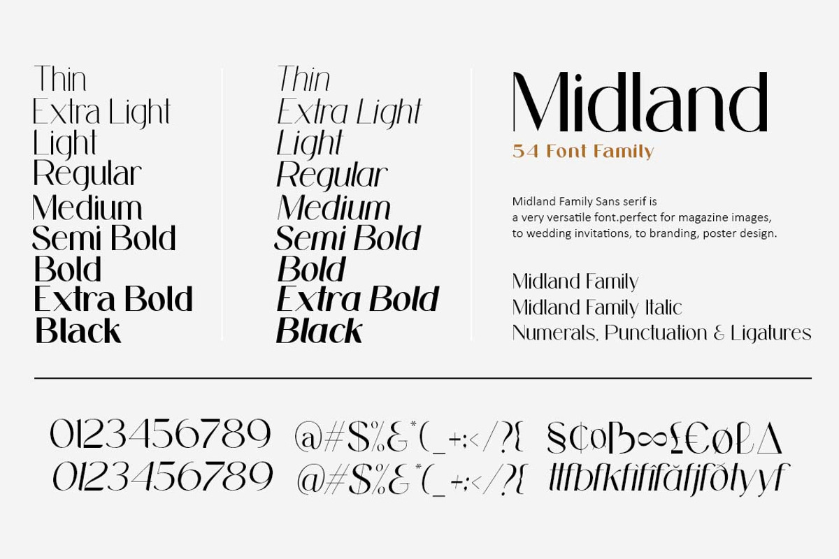 Midland Family (54 Fonts), a Sans Serif Font by Areatype (Photo 10 of 10)