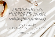 Marigold Boutique Font, a Handwritten Font by Timurtype (Thumbnail 6 of 7)