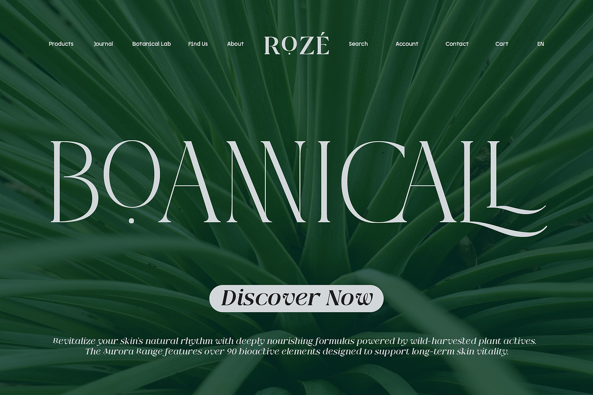 Qlaxe Serif – Update Italics, a Serif Font by Nollev (Photo 8 of 14)