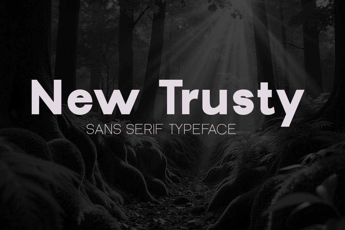 The Essential Font Collection, a Sans Serif Font by groens (Photo 16 of 19)
