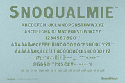 Snoqualmie - A Vintage Style Font, a Serif Font by Komet & Flicker (Thumbnail 15 of 15)
