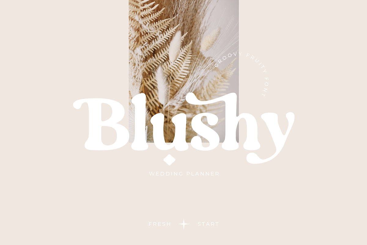 Groovy Fruity - Retro Serif, a Serif Font by Sans & Sons (Photo 5 of 10)
