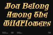 CS Rozena Drawn, a Sans Serif Font by Craft Supply Co. (Thumbnail 5 of 8)