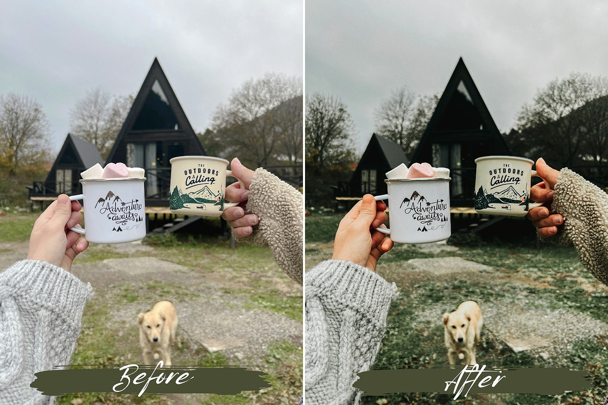 10 Sage Green Lightroom Presets, a Preset Add-On by MEPRESETS (Photo 6 of 7)