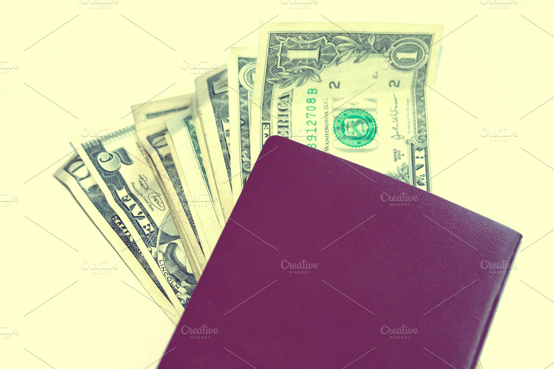 European Passport With Dollars