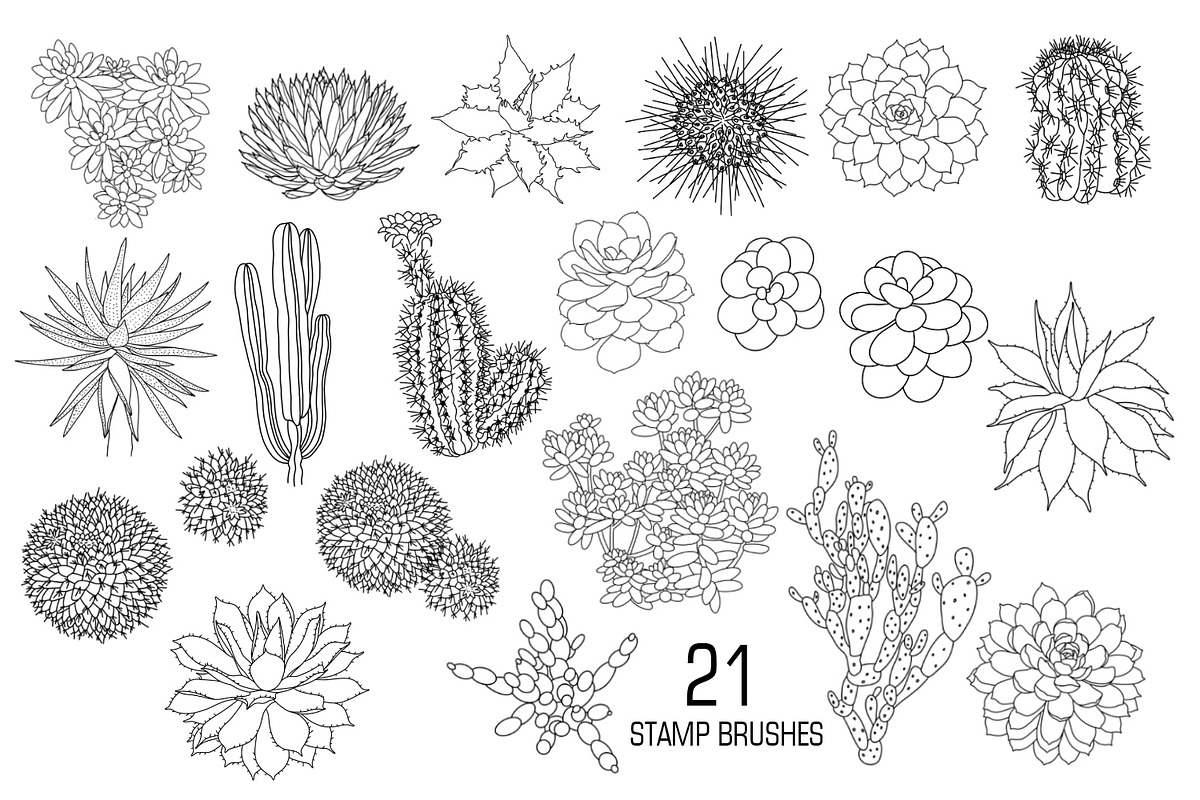 Stamp brushes for Procreate, a Brush Add-On by ViktoriArt (Photo 2 of 4)
