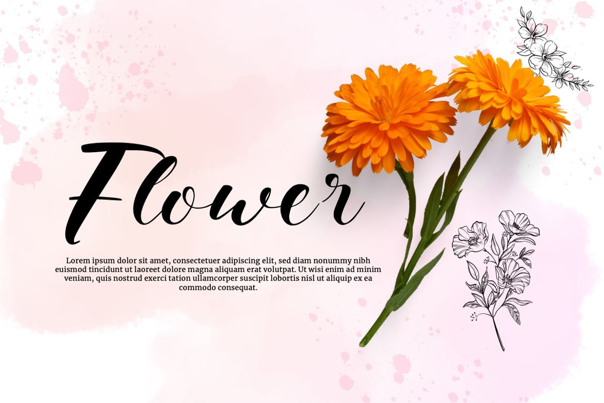 Bellasyet - Fancy Signature Font, a Script Font by Dhabee (Photo 10 of 15)