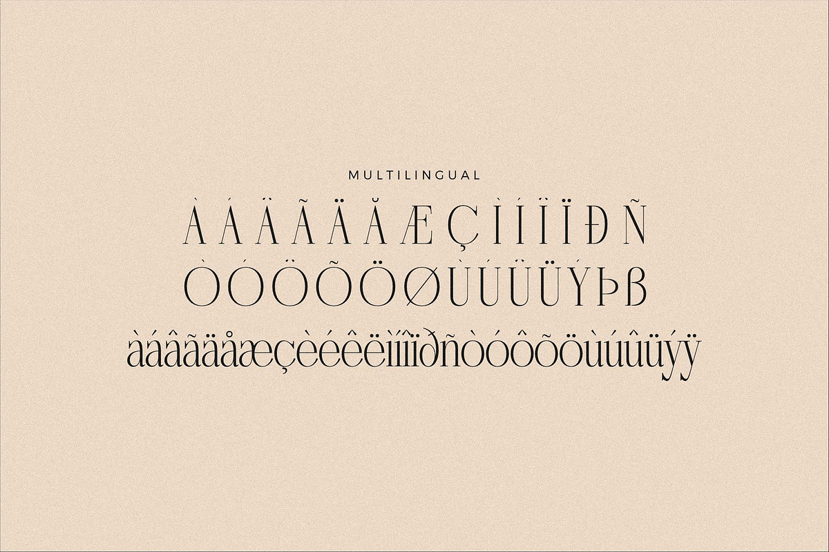 Nebiard Classic Serif Font, a Serif Font by Storytype Studio (Photo 14 of 15)