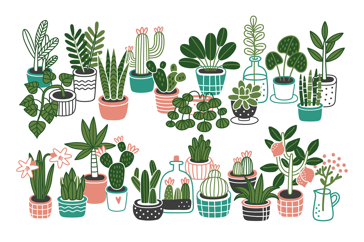 HOMEPLANTS | clip arts collection, a Decorative Illustration by Nastya Tkachova (Photo 3 of 11)