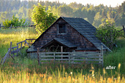 14 Landscape Sensation Presets, a Preset Add-On by Timeless Presets (Thumbnail 2 of 13)