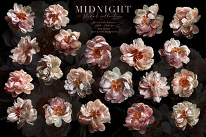 Midnight Floral Clip Art Collection