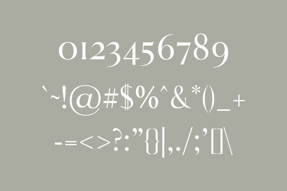 Aadam A Modern Serif Font Family preview 4