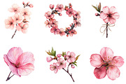Watercolor Sakura Blossoms Clipart, an Illustration by Designking (Thumbnail 3 of 5)