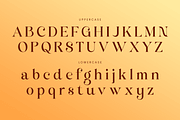 Hellian - Modern Lavish Luxury Font, a Serif Font by Sensatype (Thumbnail 10 of 13)