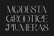 Bright Glitten, a Serif Font by zeenesia (Thumbnail 6 of 20)