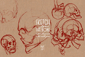 Skulls - Sketch 2 The Bone