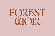 Roslyn Leigh - Display Serif, a Serif Font by 1871 Project (Thumbnail 7 of 17)