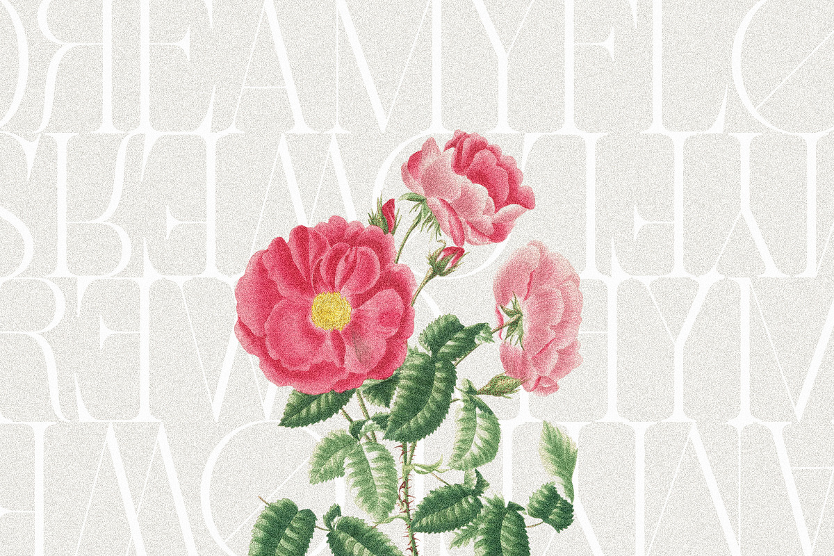 Sherlock – Elegant Classic Serif, a Serif Font by Mahesans Co (Photo 4 of 16)