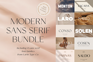 Sans Serif Bundle, a Sans Serif Font by Larin Type Co.