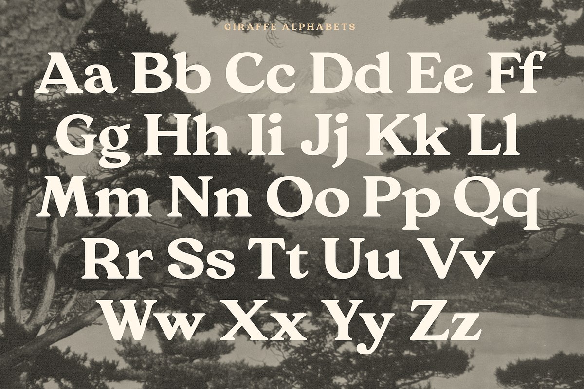 Giraffe Bold Serif Font, a Serif Font by Fenotype (Photo 4 of 10)