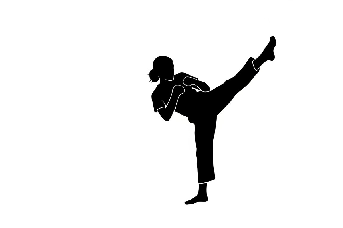 Dynamic martial arts kick silhouette, an Illustration by Amazin_art (Photo 12 of 36)