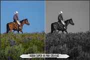 Eastman Kodak Black White Films LUTs, a Plug-in Add-On by Raztrend (Thumbnail 27 of 30)