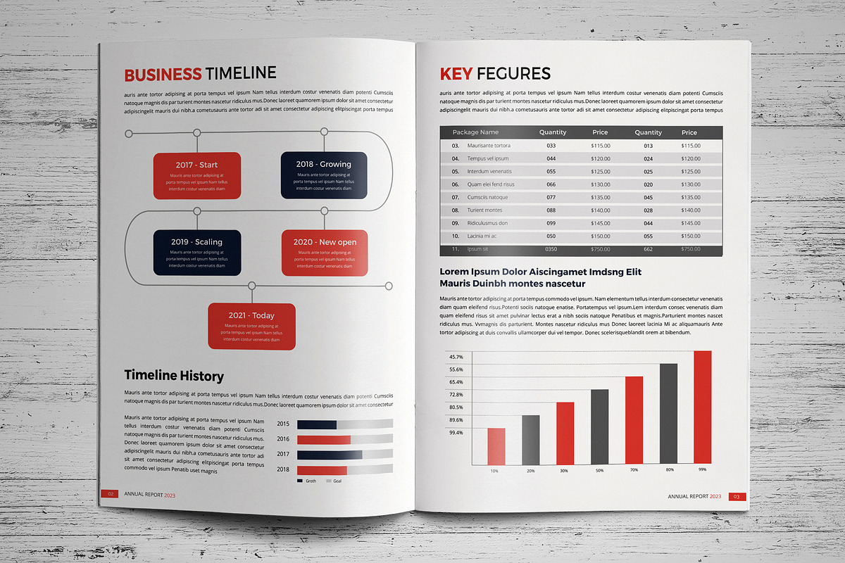 Annual Report Template V2, a Brochure Template by JanySultana (Photo 9 of 16)