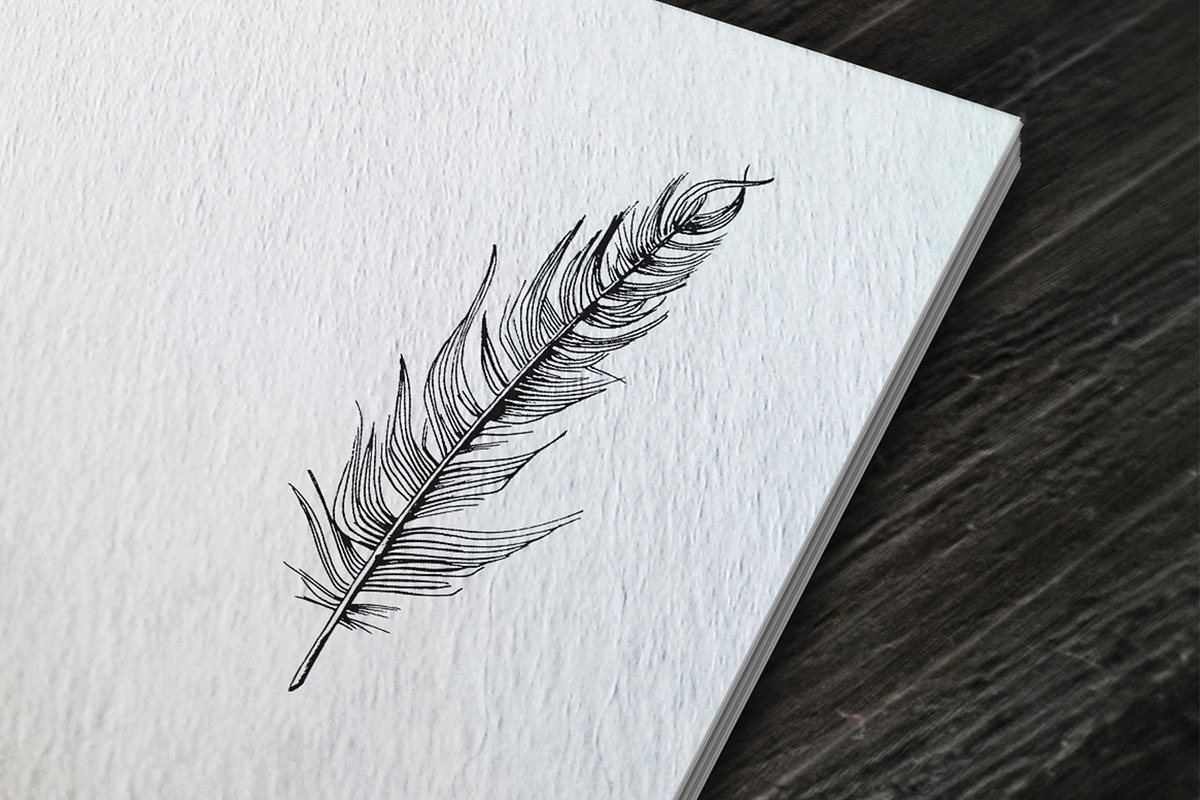 Feather. Sketch and patterns, an Illustration by Canatic (Photo 2 of 7)