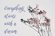 Panole Calligraphy Script, a Script Font by Creative Foundry (Thumbnail 4 of 8)